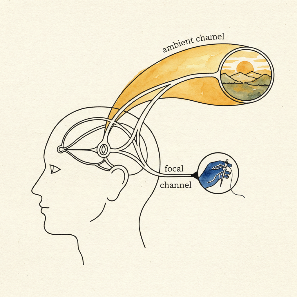 Focal vs. Ambient Vision