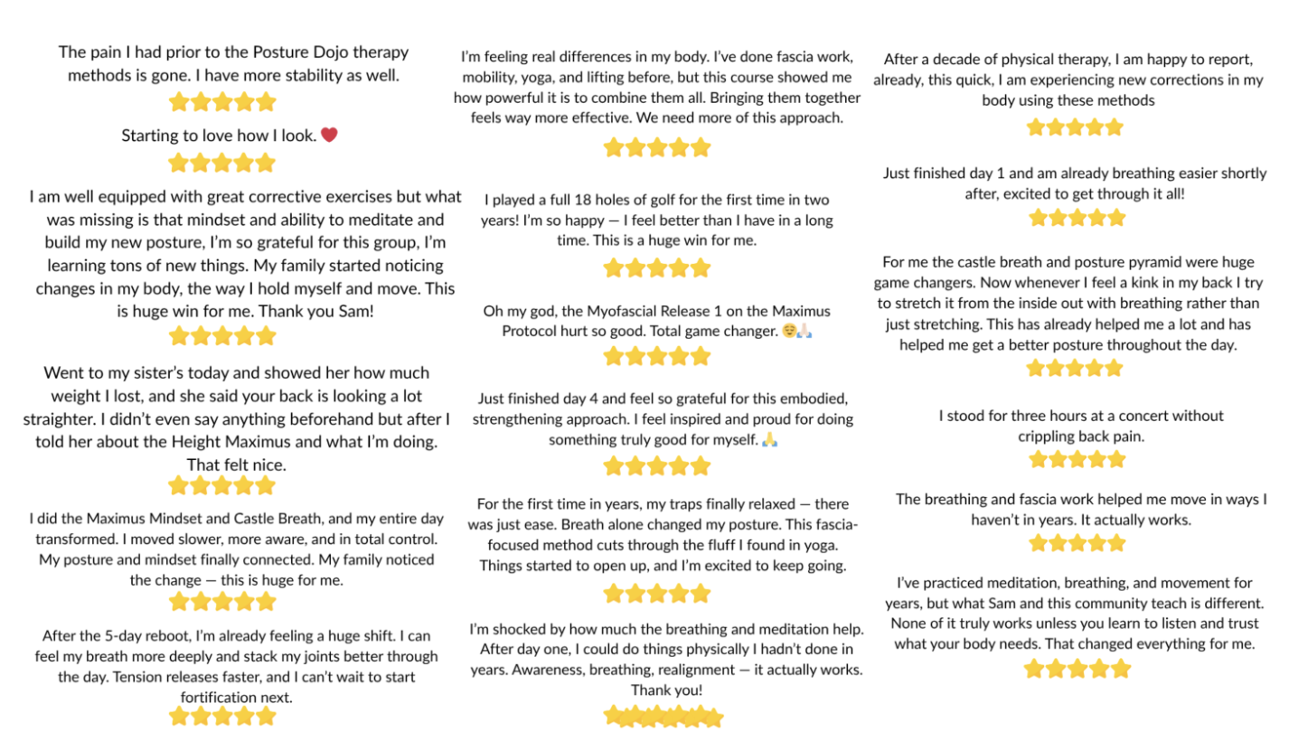 Posture Dojo community testimonials and reviews with five-star ratings
