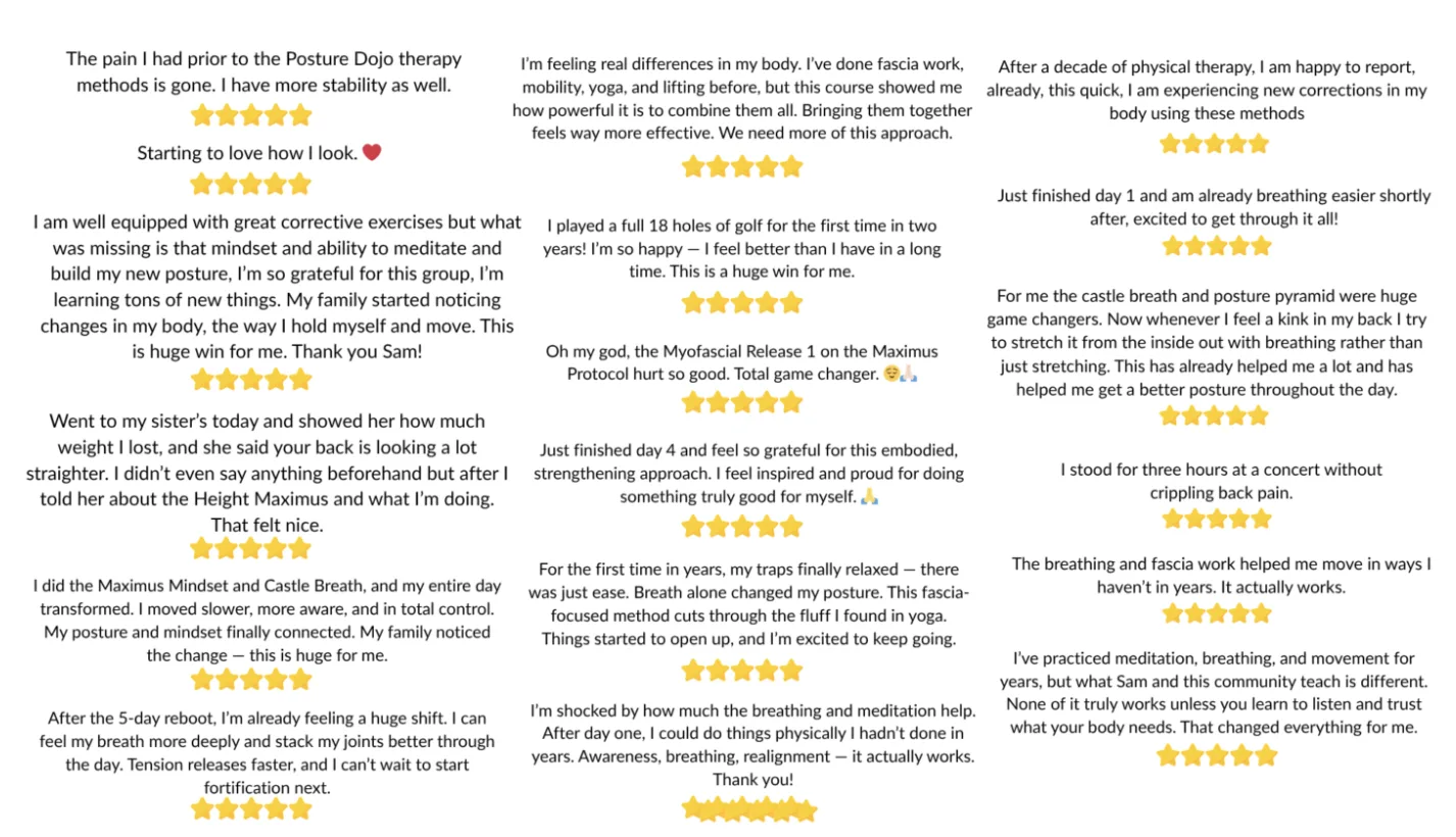 Five-star reviews from Posture Dojo members describing less pain, easier breathing and changes in how they stand and move